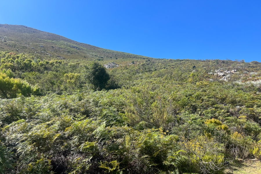 0 Bedroom Property for Sale in Franschhoek Rural Western Cape